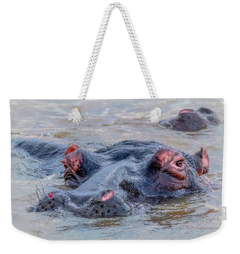 South Africa Weekender Tote Bag featuring the photograph King of the River by Marcy Wielfaert
