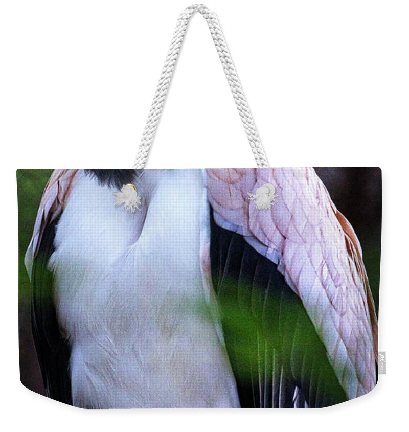 King Weekender Tote Bag featuring the photograph King Vulture by Rene Vasquez