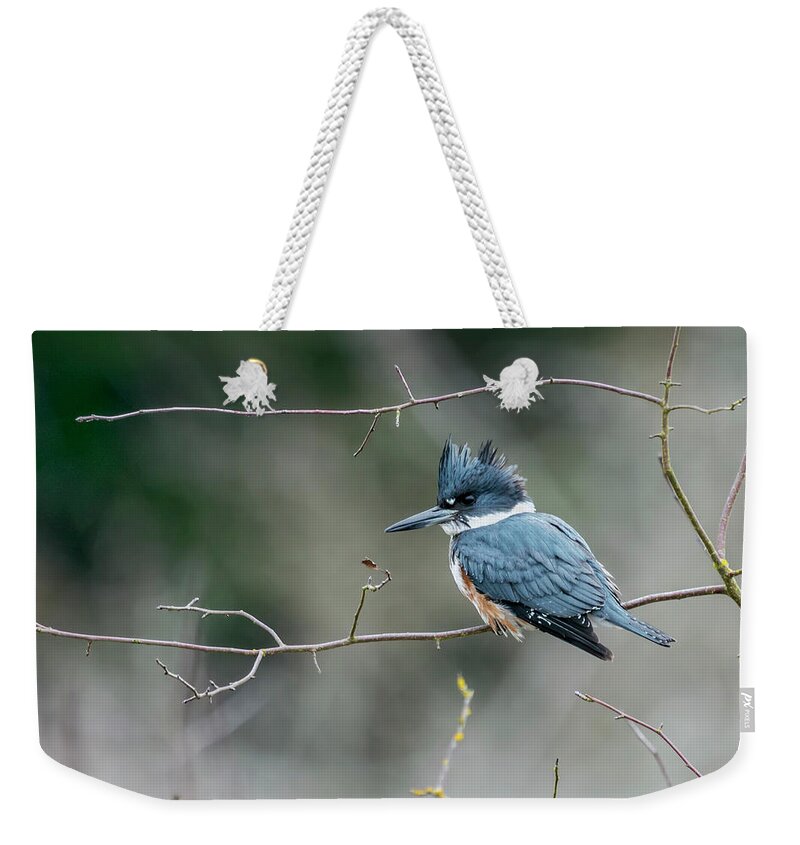 Belted Kingfisher Weekender Tote Bag featuring the photograph Kingfisher by Terry Dadswell