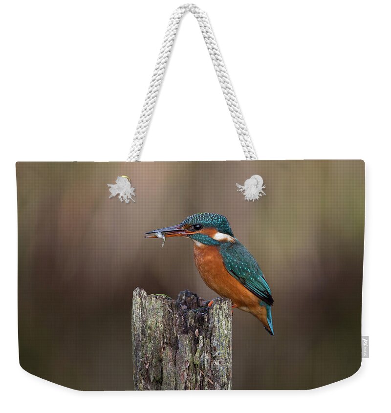 Kingfisher Weekender Tote Bag featuring the photograph Kingfisher With Fish by Pete Walkden