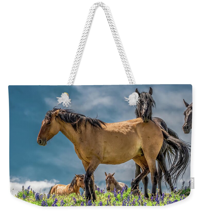 Wild Horses Weekender Tote Bag featuring the photograph Kings of the Mountain by Marcy Wielfaert