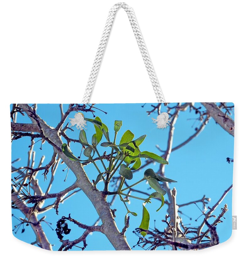 Winter Weekender Tote Bag featuring the photograph Kiss Starter by Richard Thomas