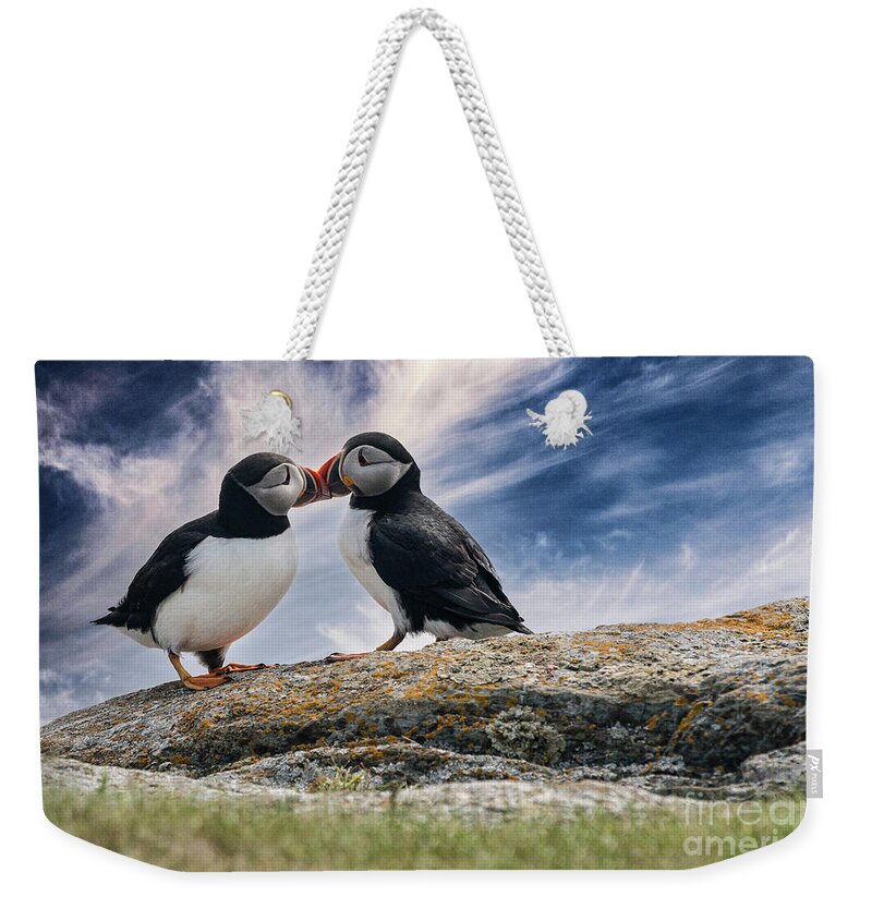 Puffins Weekender Tote Bag featuring the digital art Kissing Puffins by Jim Hatch