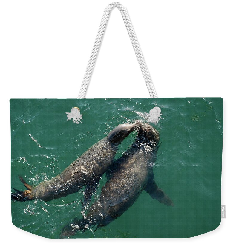Seals Weekender Tote Bag featuring the photograph Kissing Seals by Jennifer Kane Webb
