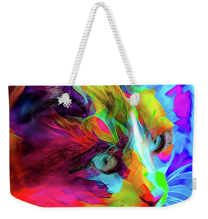 Cat Weekender Tote Bag featuring the photograph Kitty in blue by Patricia Dennis