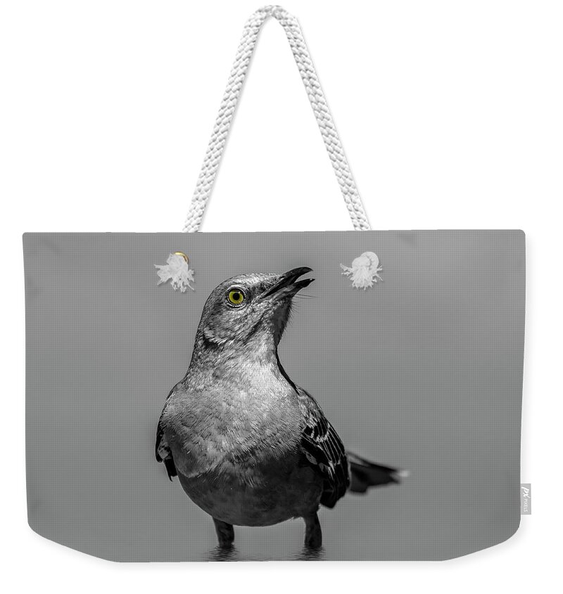 Bird Weekender Tote Bag featuring the photograph Knee Deep by Cathy Kovarik