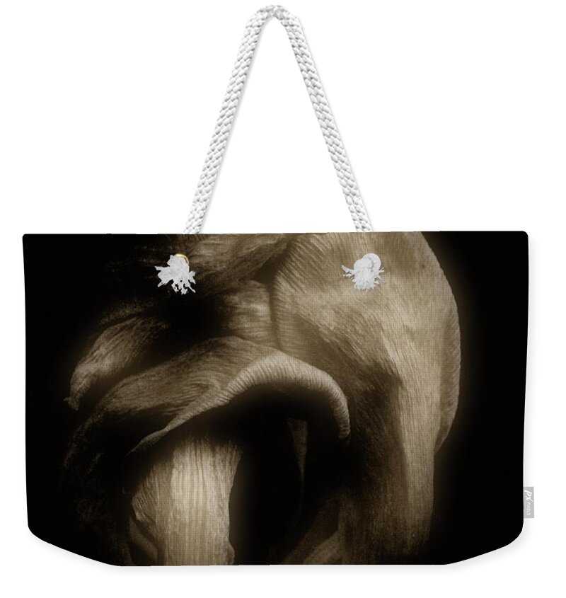 Tulip Weekender Tote Bag featuring the photograph Knot by Cynthia Dickinson