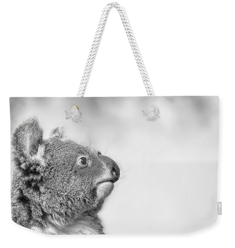 Koala Weekender Tote Bag featuring the photograph Koala portrait in Black and white by Gareth Parkes