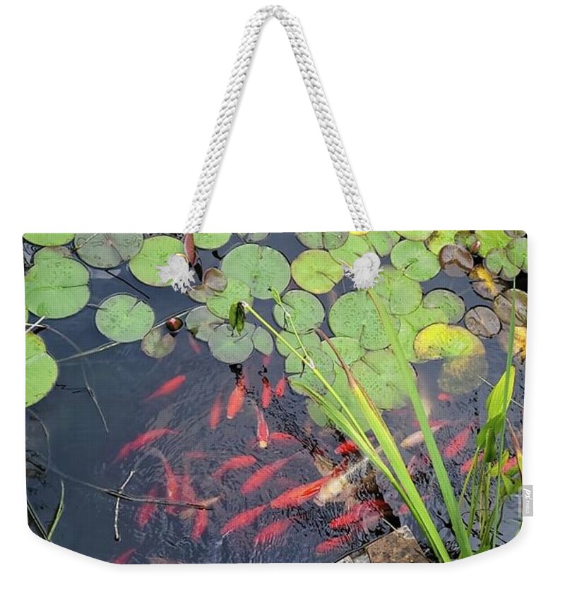 Koi Weekender Tote Bag featuring the photograph Koi by Maxine Billings