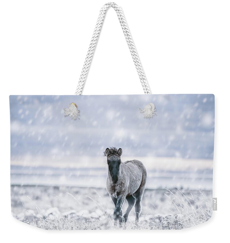 Photographs Weekender Tote Bag featuring the photograph Kolibyr - Horse Art by Lisa Saint