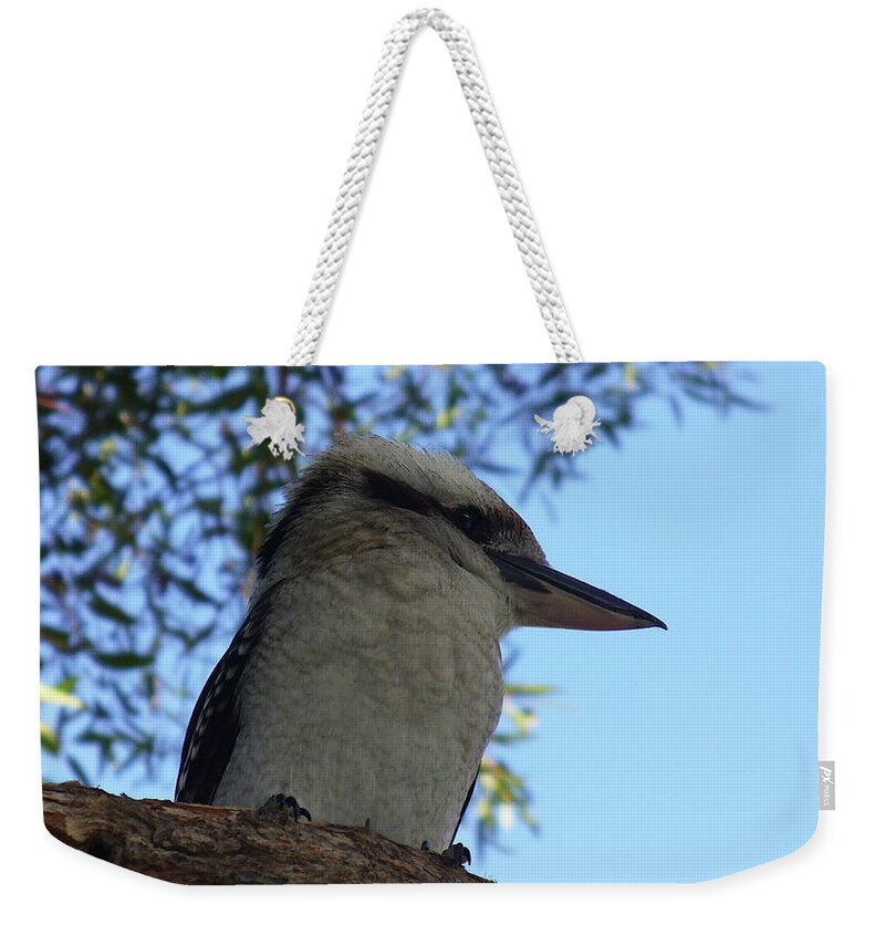 Kookaburra Weekender Tote Bag featuring the photograph Kookaburra on a Tree by Kathrin Poersch