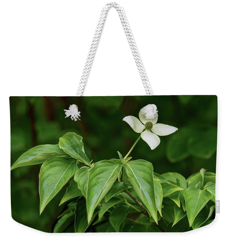 Flower Weekender Tote Bag featuring the photograph Kousa Dogwood by Nikolyn McDonald