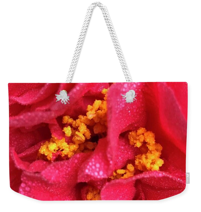 Flowers Weekender Tote Bag featuring the photograph Kramer Supreme Camellia Japonica in Clayton, North Carolina by Catherine Ludwig Donleycott