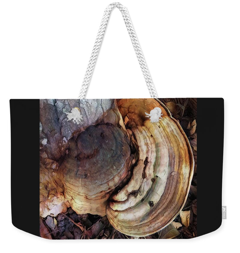 Photo Weekender Tote Bag featuring the photograph Rings Of Fungi by Tim Nyberg