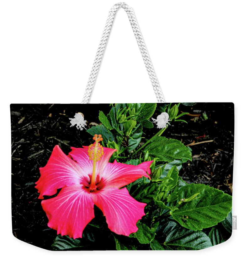 Flower Weekender Tote Bag featuring the digital art La cayena by Daniel Cornell