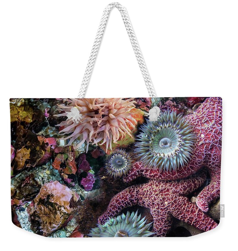 Sea Weekender Tote Bag featuring the photograph La Jolla Tide Pools by Russ Harris