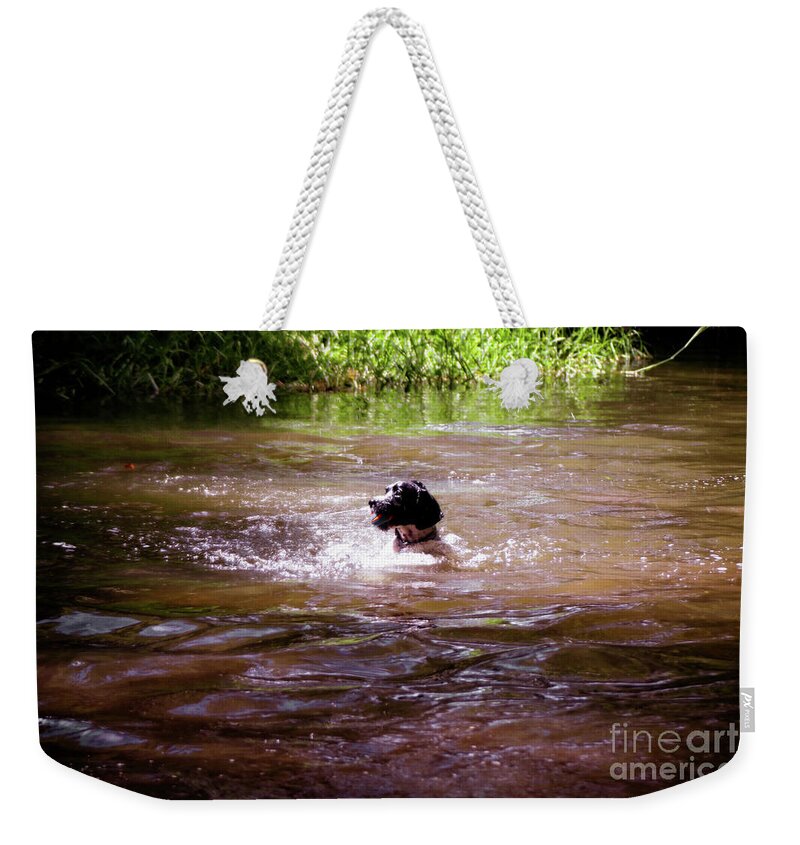 Labrador Weekender Tote Bag featuring the photograph Labrador Retriever Swimming by Doc Braham