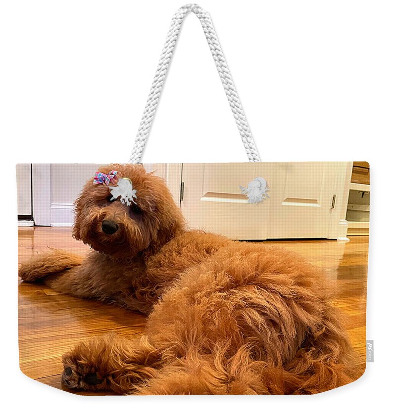 Goldendoodle Weekender Tote Bag featuring the photograph Ladybird Swimsuit Edition by Lee Darnell