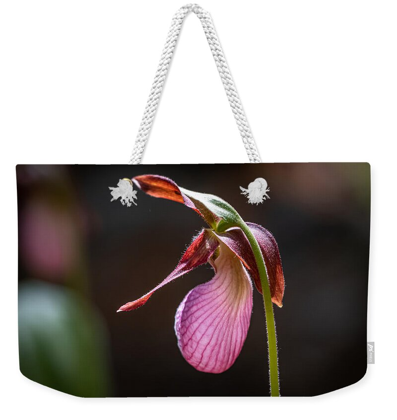 Flower Weekender Tote Bag featuring the photograph Lady's Slipper in the Sunlight by Linda Bonaccorsi