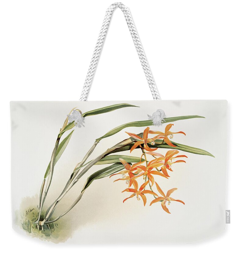 Reichenbachia Orchids Weekender Tote Bag featuring the painting Laella harpophylla Orchid by World Art Collective