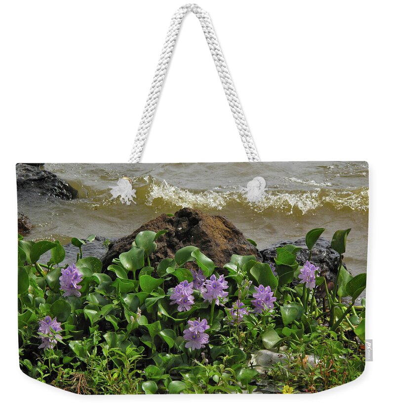 Wild Lilies Weekender Tote Bag featuring the mixed media Lake Catemaco Veracruz Mexico, marsh lilies and wave by Lorena Cassady