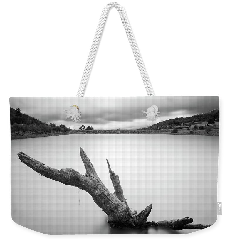 San Diego Weekender Tote Bag featuring the photograph Lake Cuyamaca Stump and Clouds by William Dunigan