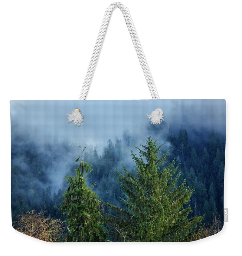 Near Lake Quinault Weekender Tote Bag featuring the photograph Lake quinault 11-21-212 by Mike Penney