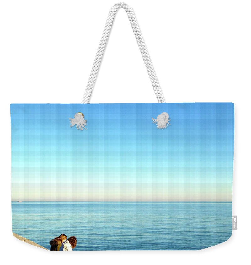 Sunset Weekender Tote Bag featuring the photograph Lake Shore Horizon Sunset by Patrick Malon