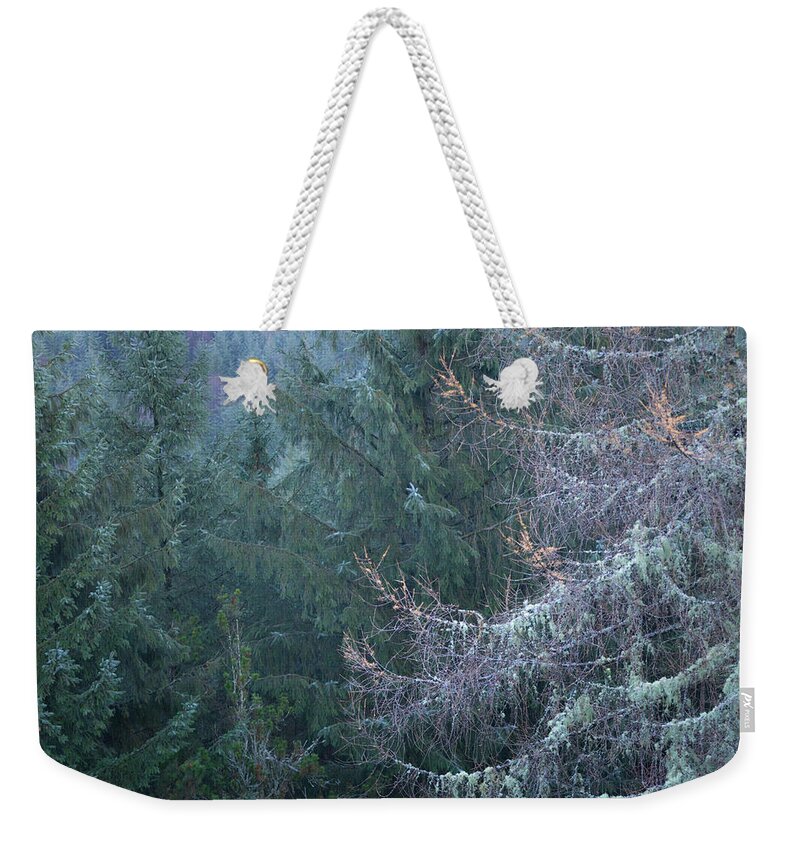 Abstract Weekender Tote Bag featuring the photograph Larch tree with Lichen by Anita Nicholson