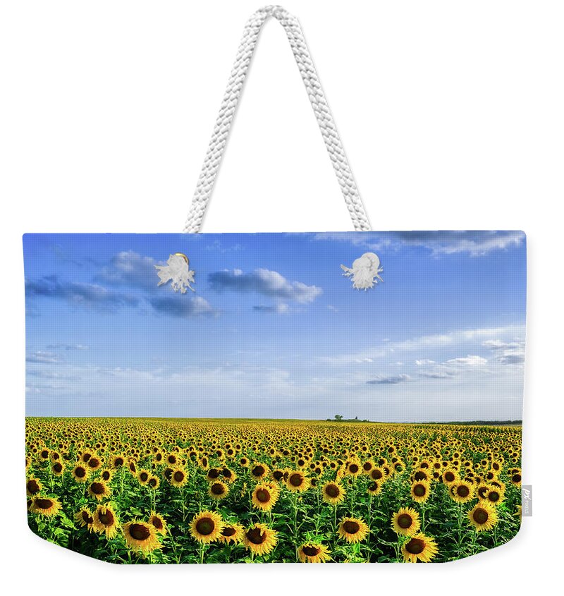 Sunflowers Weekender Tote Bag featuring the photograph Large Sunflower Field by Robert Bellomy