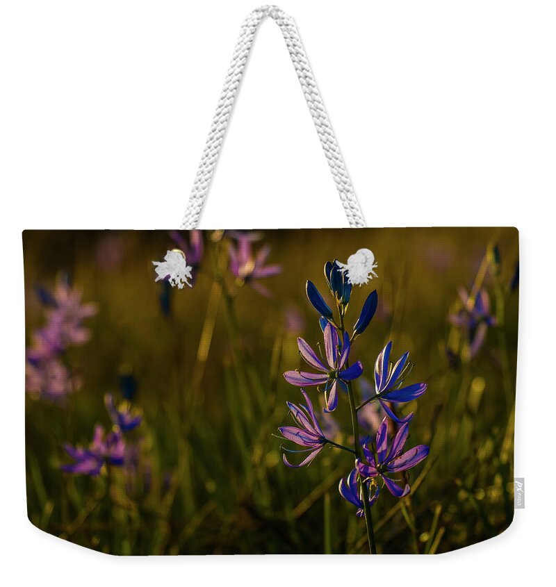 Mima Mounds Weekender Tote Bag featuring the photograph Last Light by Doug Scrima