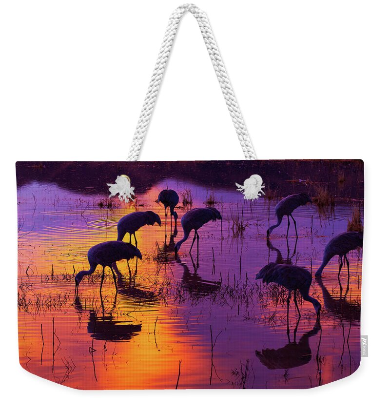 Crane Weekender Tote Bag featuring the photograph Last Meal by Peter Kennett