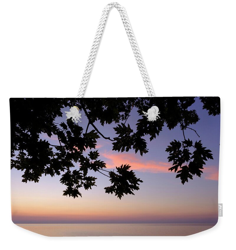 Lake Michigan Weekender Tote Bag featuring the photograph Last of the Leaves at Lake Michigan by Mary Lee Dereske