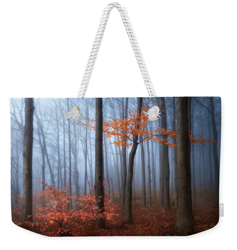Fall Colours Weekender Tote Bag featuring the photograph Late Autumn by Henry w Liu
