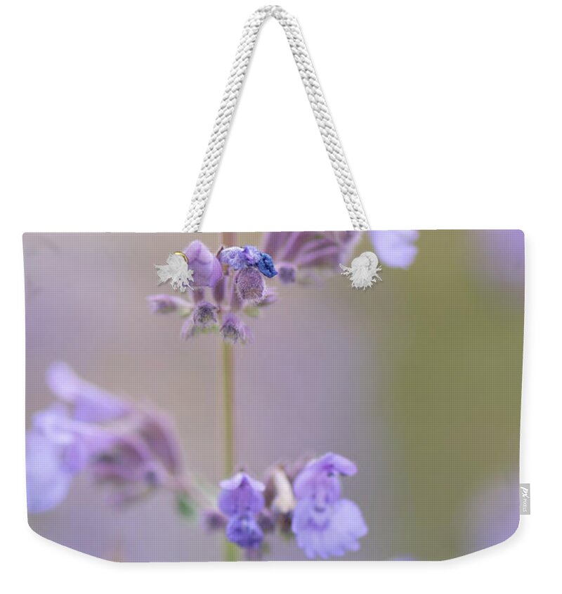 Macro Weekender Tote Bag featuring the photograph Lavendar Dream by Laura Macky