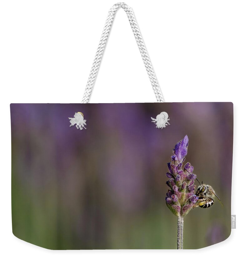 Lavender Weekender Tote Bag featuring the photograph Lavender Scented by Linda Villers