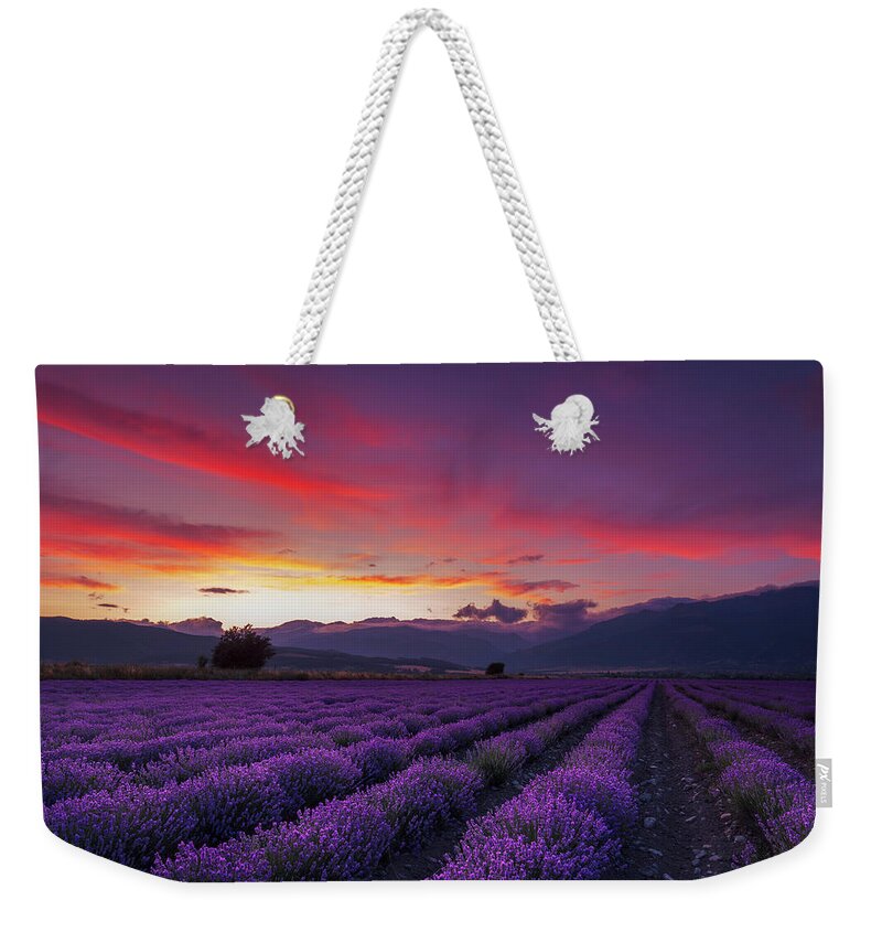 Dusk Weekender Tote Bag featuring the photograph Lavender Season by Evgeni Dinev