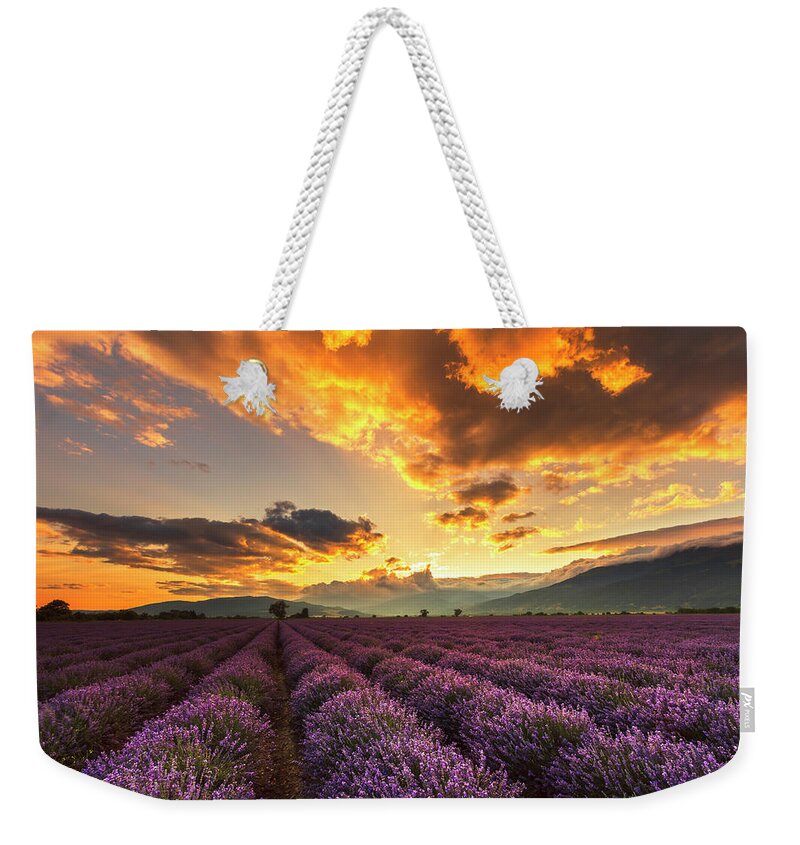 Bulgaria Weekender Tote Bag featuring the photograph Lavender Sun by Evgeni Dinev
