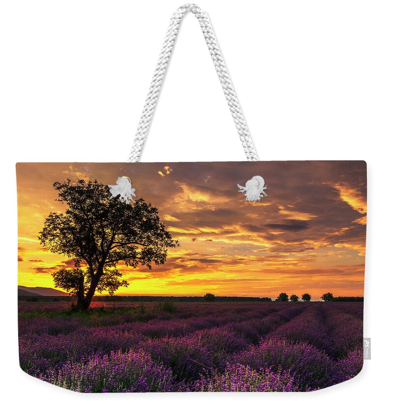 Bulgaria Weekender Tote Bag featuring the photograph Lavender Sunrise by Evgeni Dinev