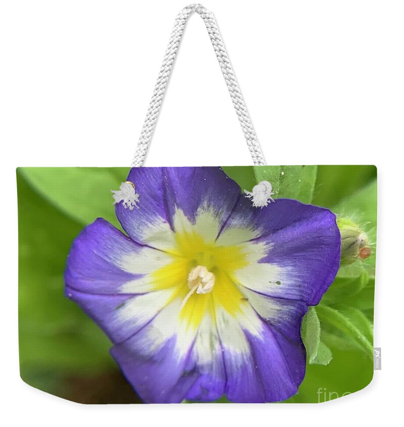 Flower Weekender Tote Bag featuring the photograph Lavender Twist by Catherine Wilson