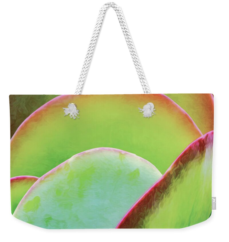 Succulent Weekender Tote Bag featuring the photograph Layeres Of Succulent Plant Leaves by Gary Slawsky