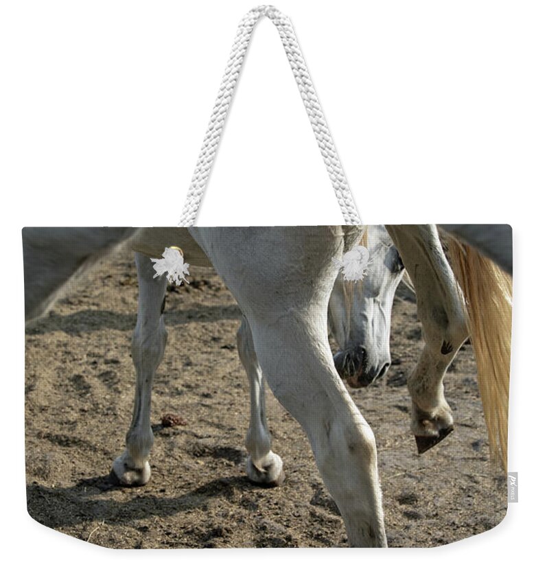 Horses Weekender Tote Bag featuring the photograph Layers of Mares by M Kathleen Warren