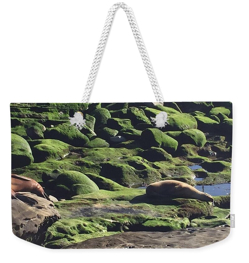 Photography Weekender Tote Bag featuring the photograph Lazy Day at Seal Beach by Lisa White