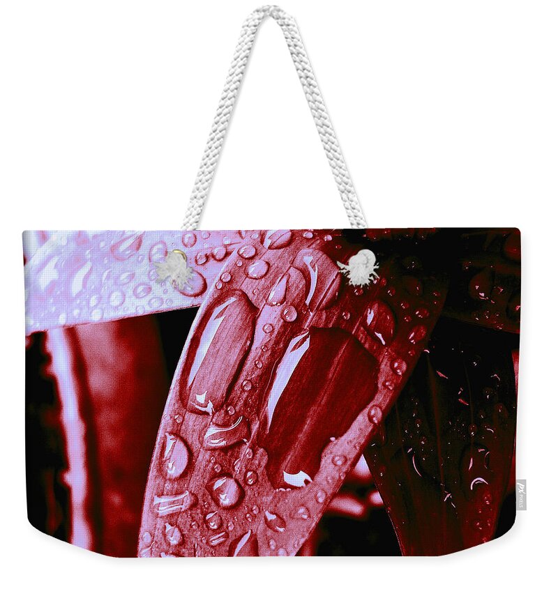  Weekender Tote Bag featuring the digital art Leaf 6 2020 Master by The Lovelock experience