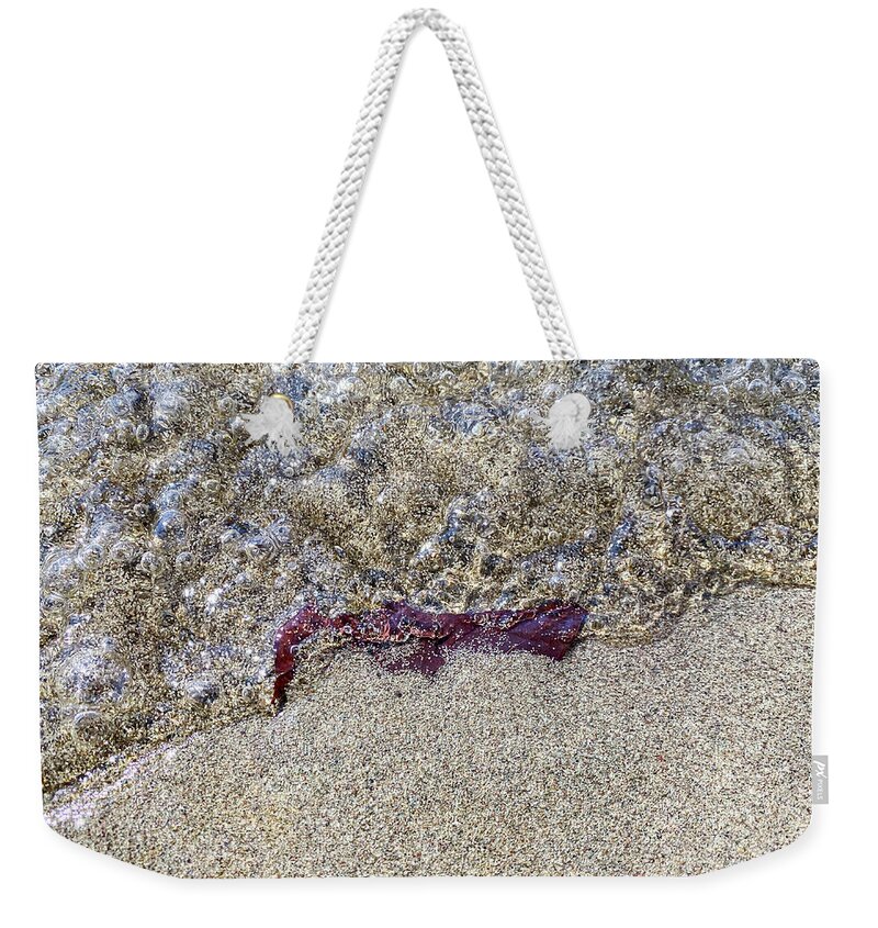Nature Weekender Tote Bag featuring the photograph Leaf on the Beach by Amelia Pearn