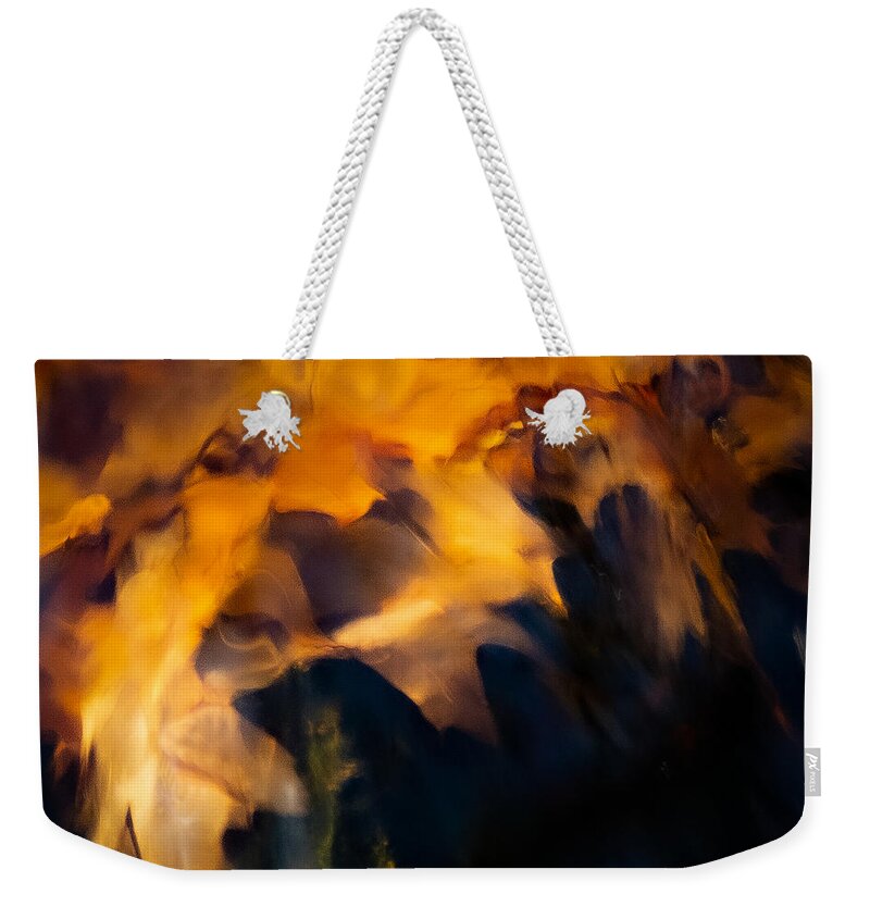 Abstract Weekender Tote Bag featuring the photograph Leaf Story by Linda Bonaccorsi