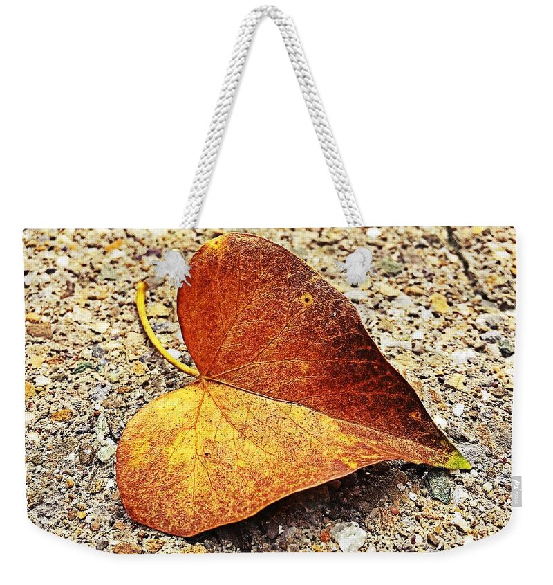 Leaf Weekender Tote Bag featuring the photograph Leaf by Tanja Leuenberger