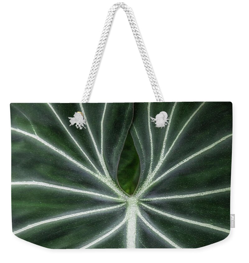 Leaf Vein Detail Weekender Tote Bag featuring the photograph Leaf vein detail by Donald Kinney