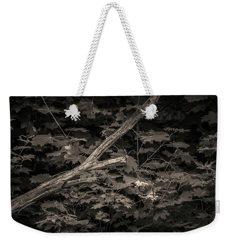 Arbor Weekender Tote Bag featuring the photograph Leaning Tree I Toned by David Gordon