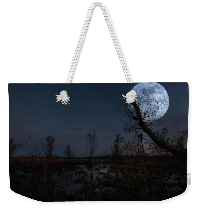 Swamp Weekender Tote Bag featuring the photograph Legend of Peter Scott Swamp by Everet Regal